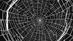 What is Dark Web Monitoring