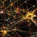 Unraveling the Mystery: What are Neural Networks?