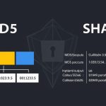 Difference between MD5 and SHA1: Hashing Algorithms Explained