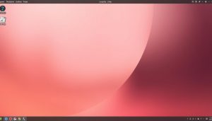 lightweight linux distro with gui